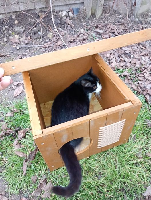 Vând Cușcă pisici nefolosită