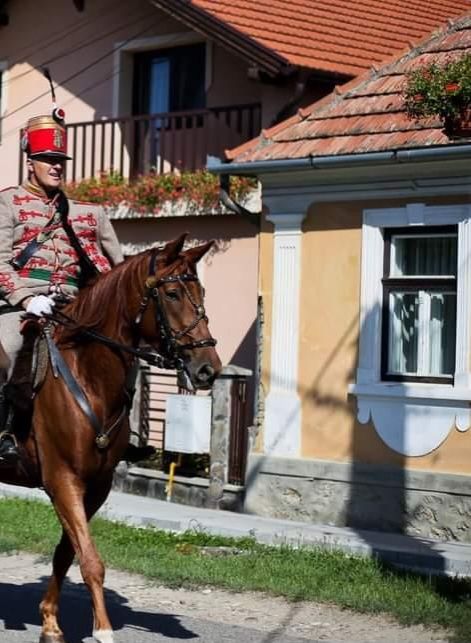 Iapă cal de sport Gidran, 7 ani, 170 cm cu baston