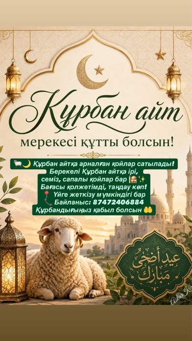 Құрбан айтқа қойлар бар