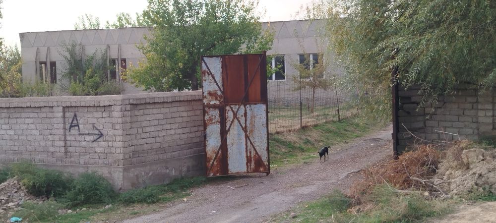 Noturar bino ishlab chiqarish maydoni bogʻi  umumiy maydoni 1gektar