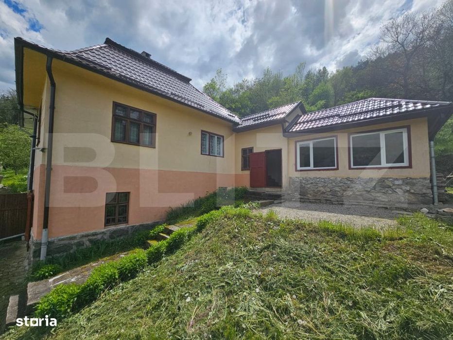 Casa P+E, panorama montana, 4.400 mp teren, Ocoliş