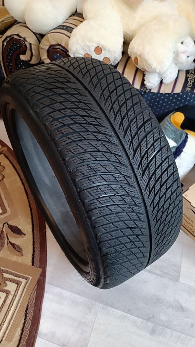 Резина Michelin Pilot Alpin 5