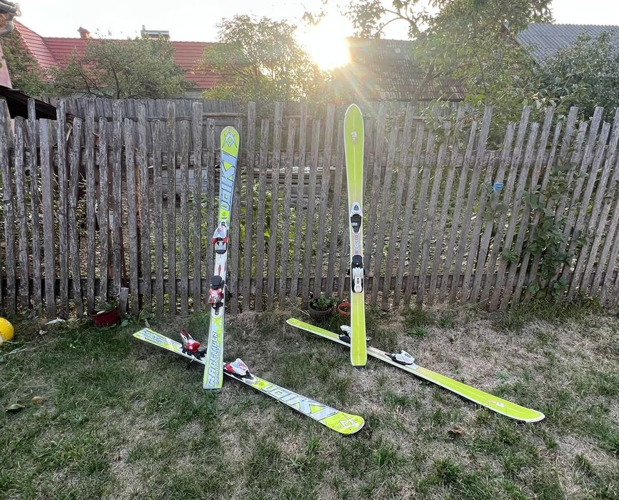 Schiuri Salamon BBR limelite