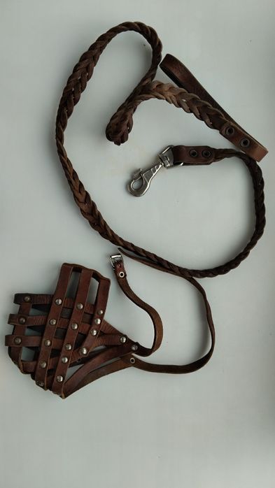 Поводок и намордник для крупной собаки