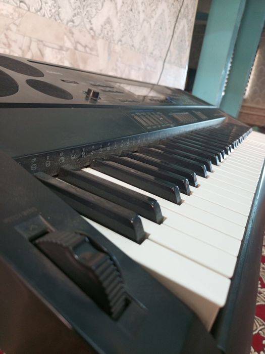Pianina Casio CTK-6000 Arzon baxoda sotiladi