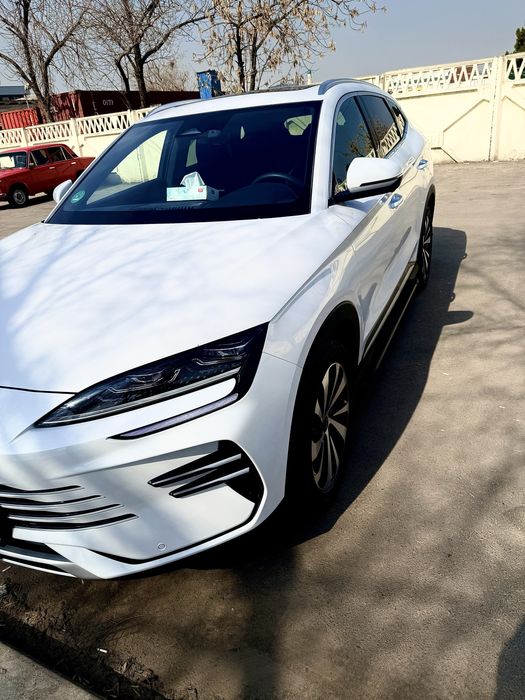 Byd song plus chempion Gibrit