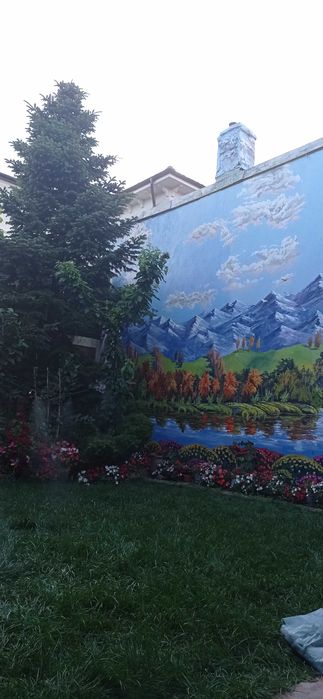 Pictura pe perete in 3d,nivel profesionist