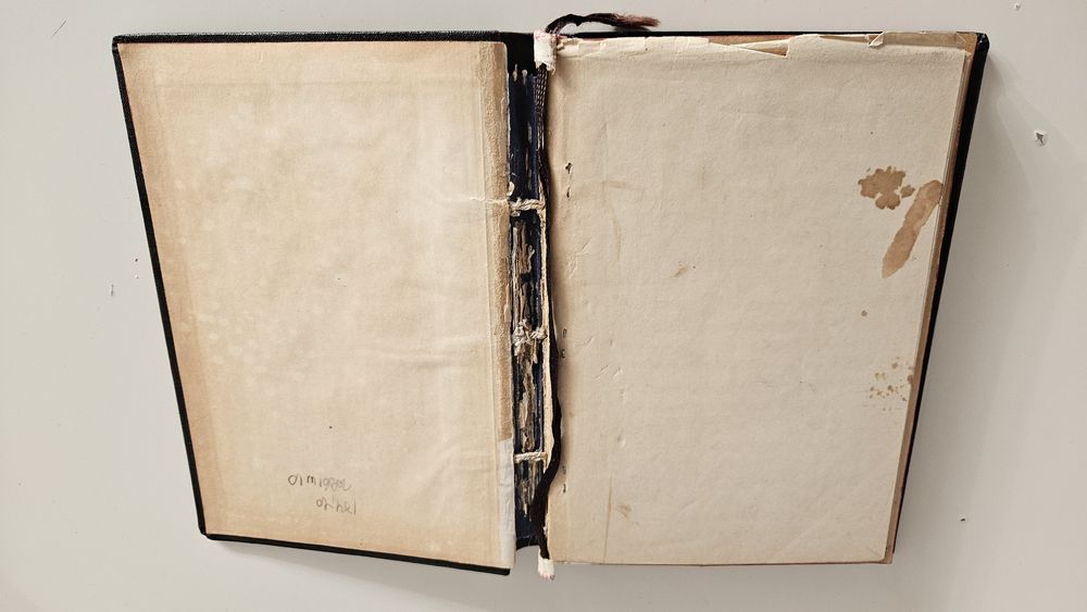 Vand Anastasimatar practic-ritmat, 1899, aprobat de I. Popescu Paserea