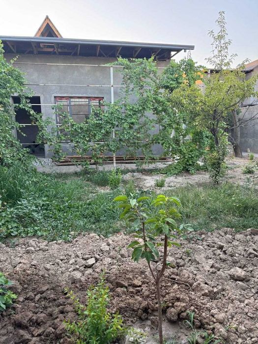 Хонобод, Беруний маҳалласида уй сотилади!