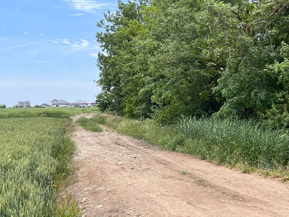 Teren Intravilan Tunari/Dimieni