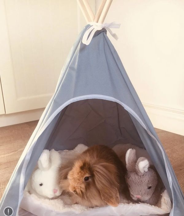 Палатка за домашен любимец, Къщичка за домашен любимец