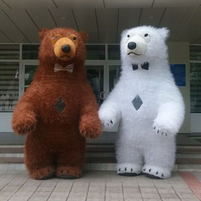 Katta ayiqlar sotiladi srochna