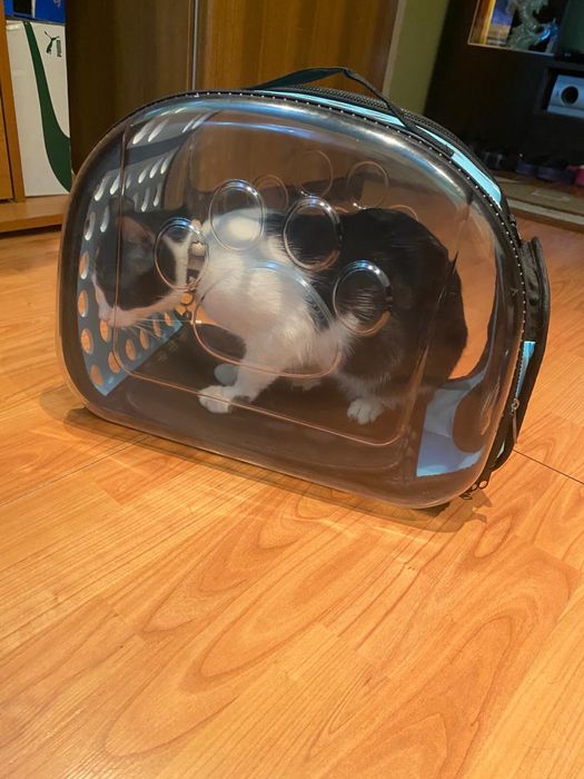 Genta de transport pentru pisici