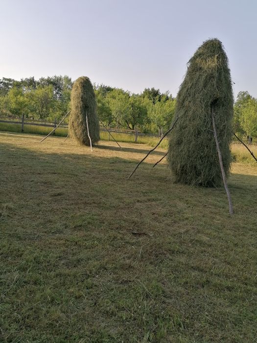 Vând baloti fân! 21 lei