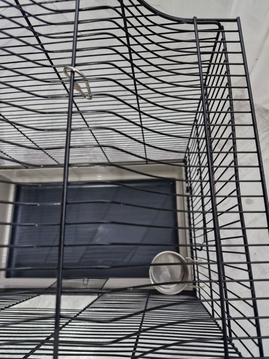 Cusca pentru pasari!