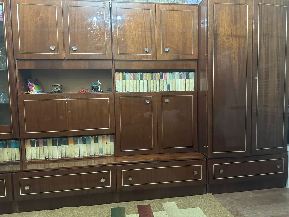 Стенка советская