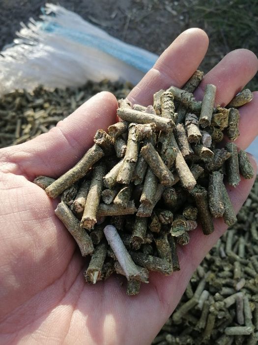 Гранулы сена разнотравие луговое