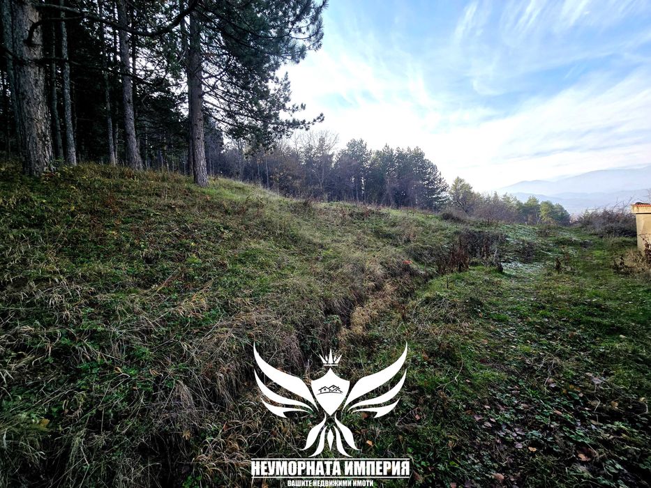 Продава се Парцел в с. Тополово, Област Пловдив - 1280 кв.м за 22 €/кв.м - Снимка #13