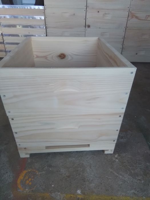 Vind Lăzi stupii  noi 170 lei