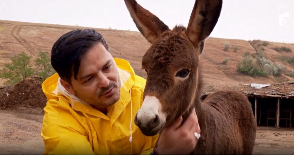 Lapte crud de măgărița!  !!!MULGEM IN PREZENTA DUMNEAVOASTRĂ!!!