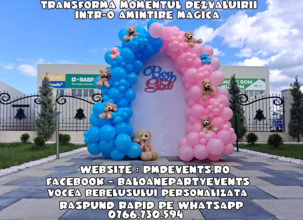 Photocorner majorat Arcada baloane petrecere/aniversare/ Panou foto evenimente Decor baloane aniversare/GENDER REVEAL