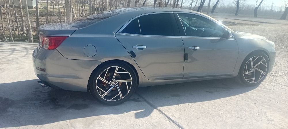 20 дика балон зор