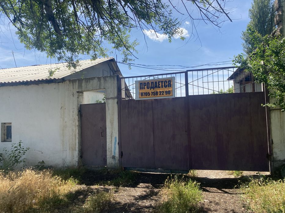 Продажа действущий теплицы