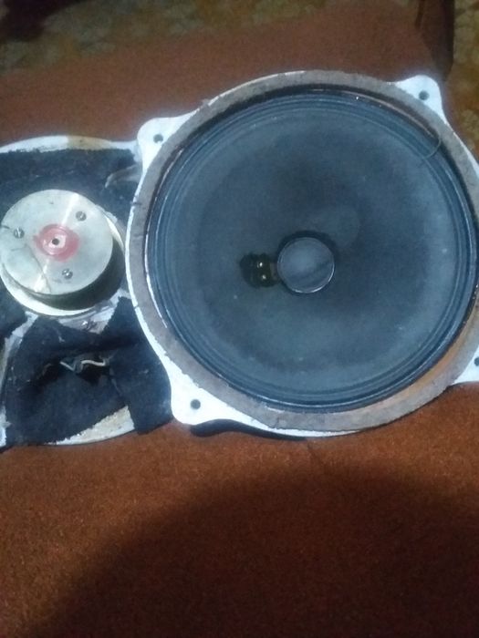 Динамики и колонки