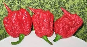 Семена от Carolina reaper