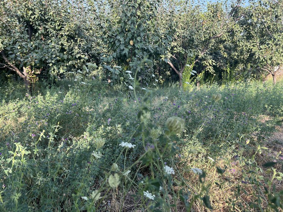 Жер участкесі сатылады