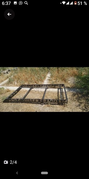 Богажник большой