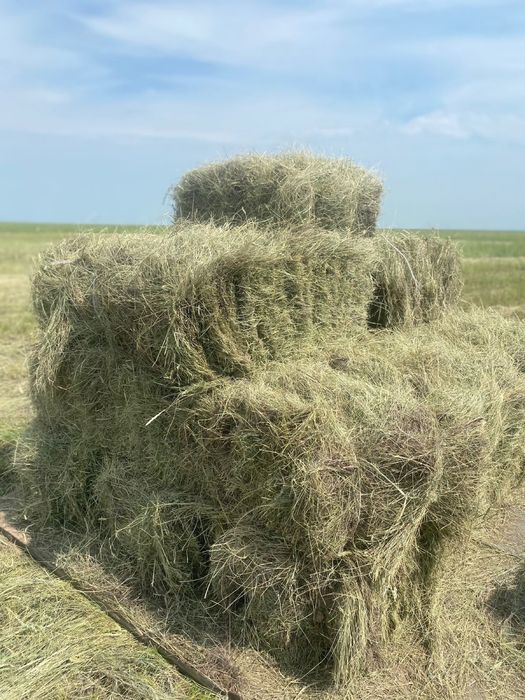 Продам сено в тюках