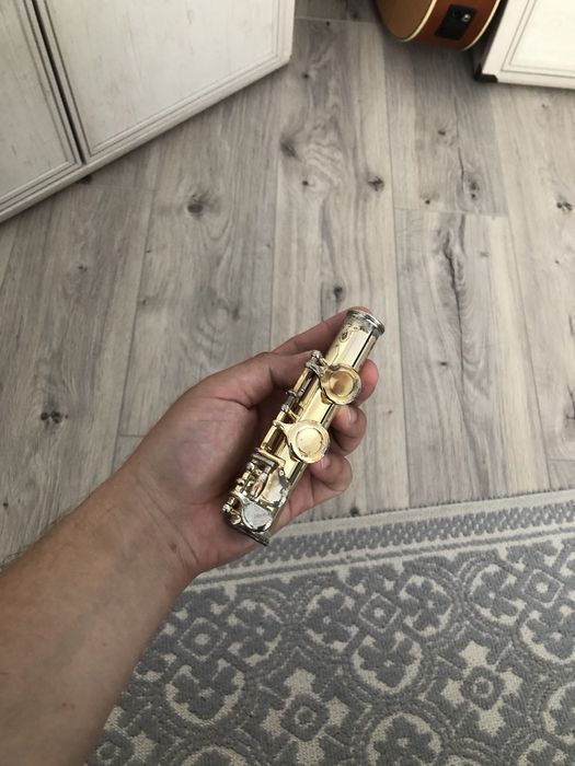 Флейта(музыкальный инструмент)