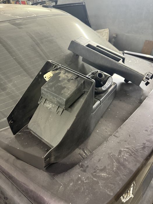 Центральна борода пассат б3