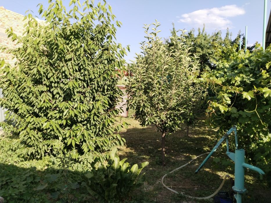 Времянка 3 комн., уч. 6 сот.