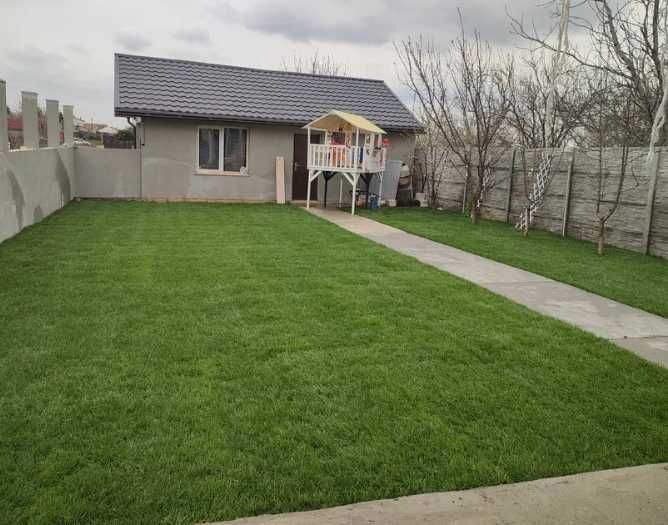 Gazonul Rulou Premium - Perfect pentru Casa Ta!