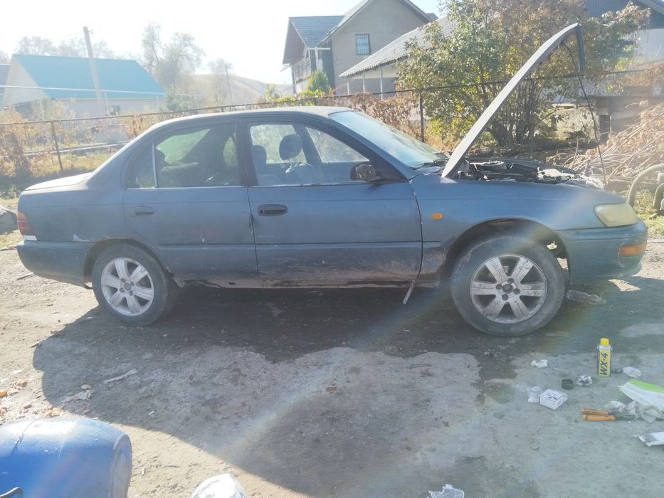 Продам Тойота Королла