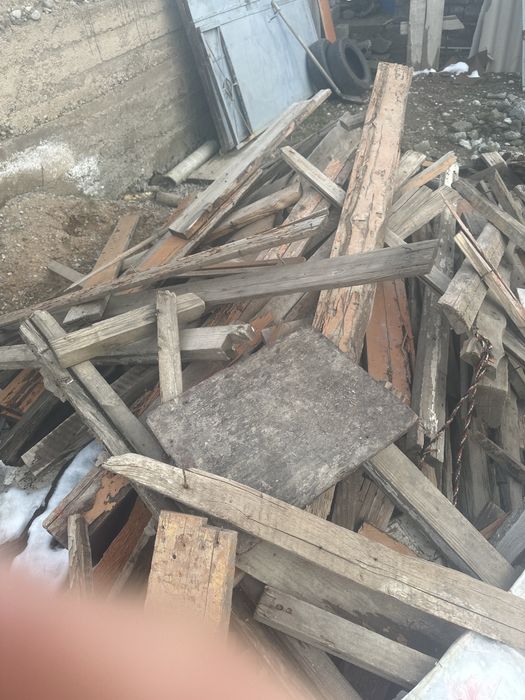 Отынга агаш сатамын