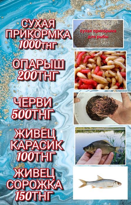 Черви Опарыш ,красный, белый.