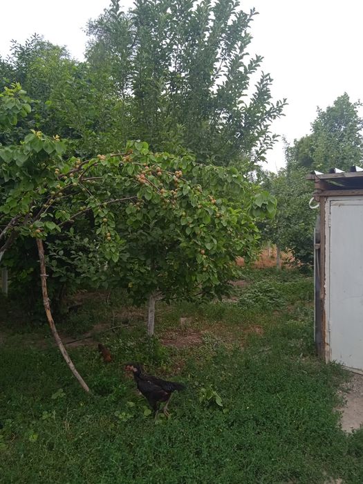 Продам большой дом