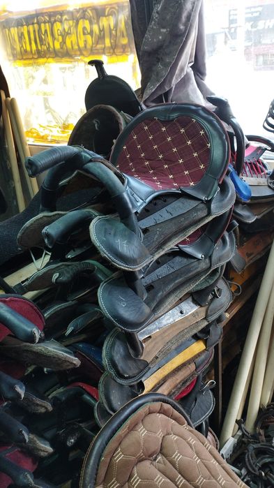 көкпар ерлер бар