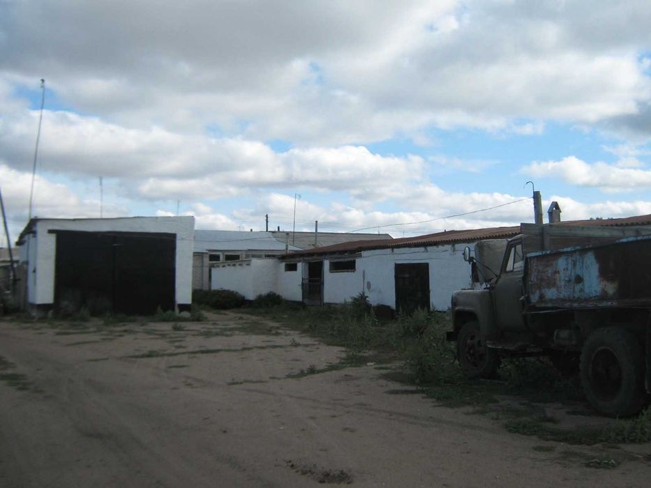 продам два дома в с. Новоямышево