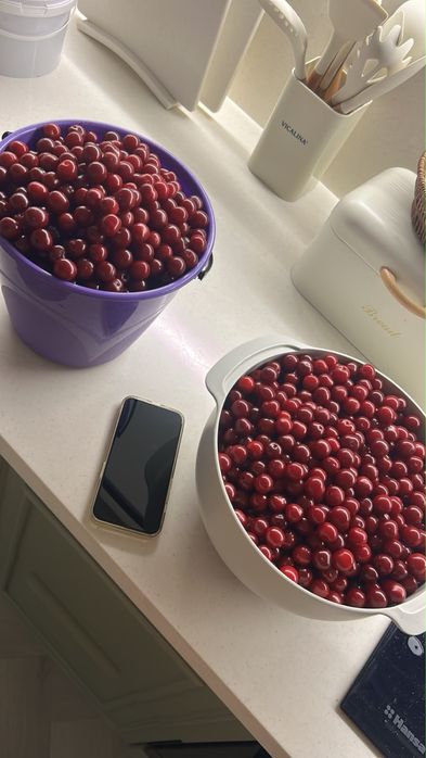 Соберу вишню под заказ