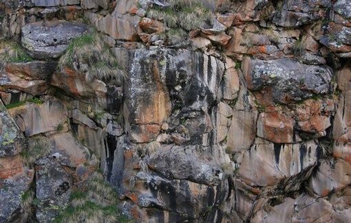 Мумиё Алтайское натуральное