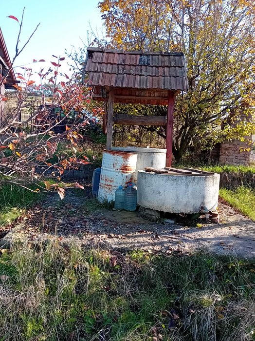 Grădină cu cabană