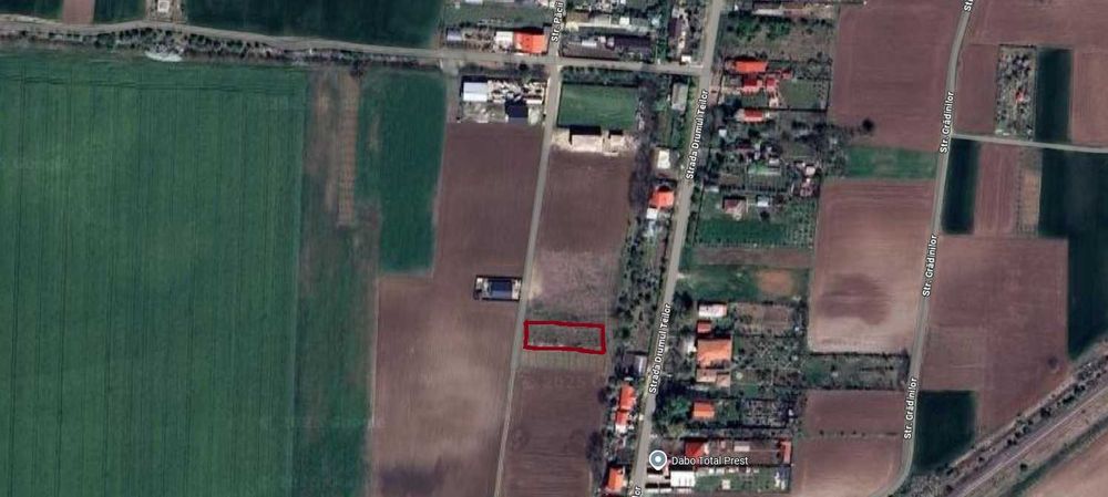 Teren intravilan Caciulati/ Moara Vlasiei 1000mp