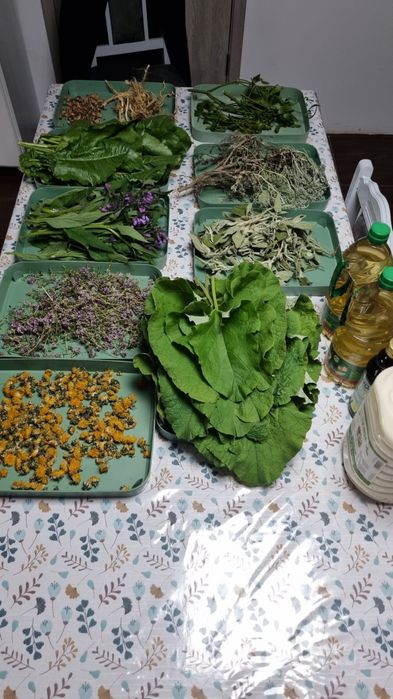 Crema & Unguent Brusture + 10 plante ( Salvie Rostopasca Tătăneasă ..)