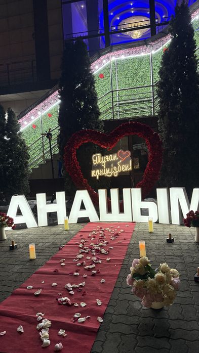Оформление Анашым