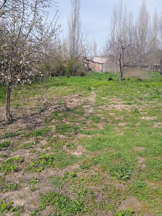 Ер сотилади яхши