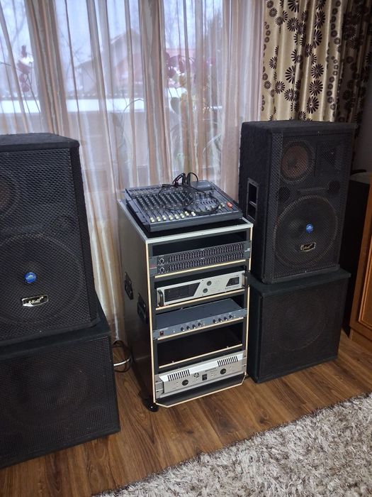 Sistem profesional muzică